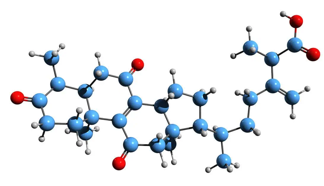 Genetic Testing in Destin, FL by Vivana MD