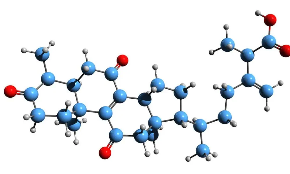 Genetic Testing in Destin, FL by Vivana MD